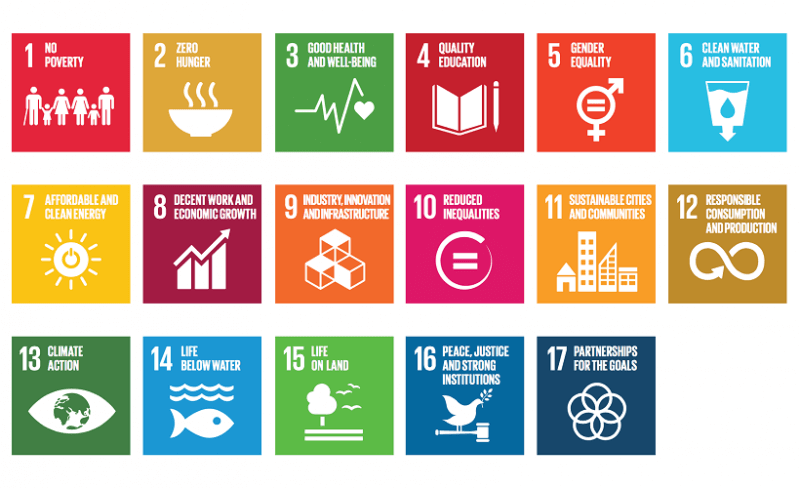 Sustainability or sdgs