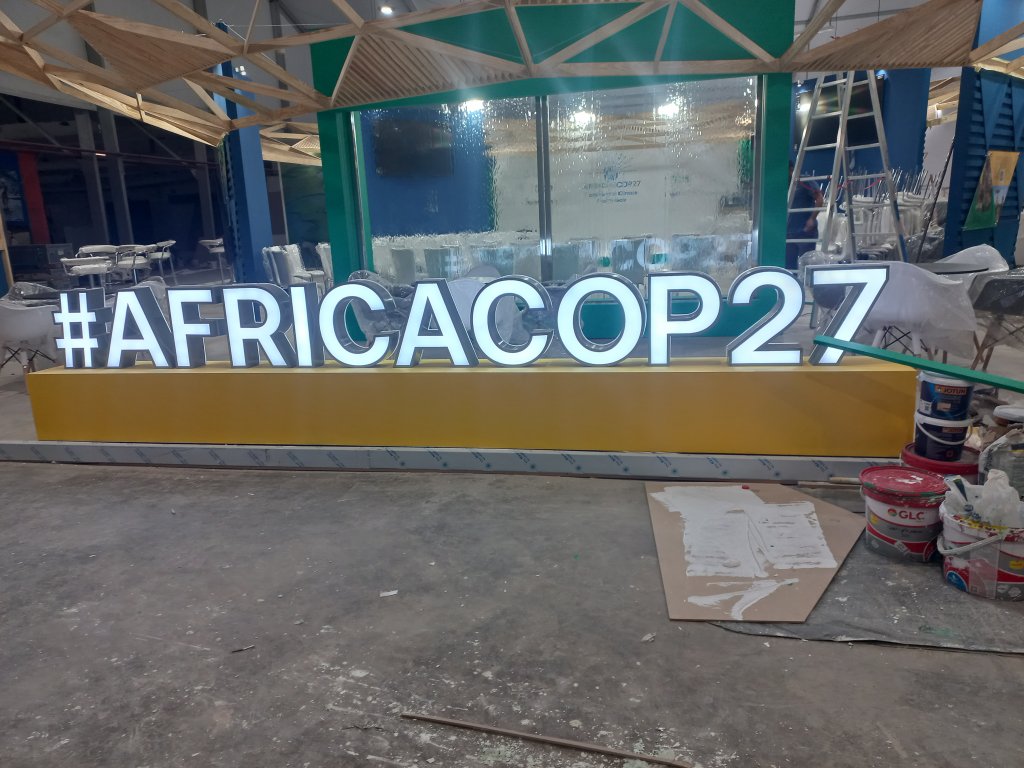 COP27 AND coy17
