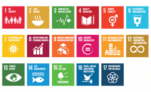 sdgs