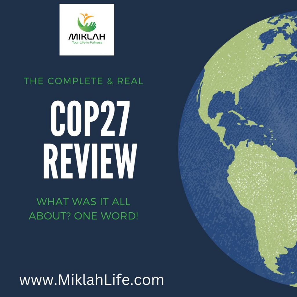 COP27 Review