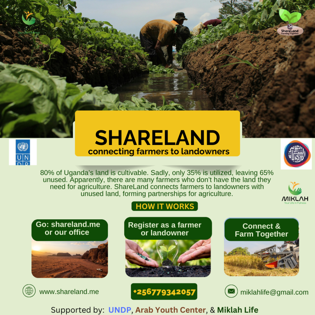 ShareLand-Flyer